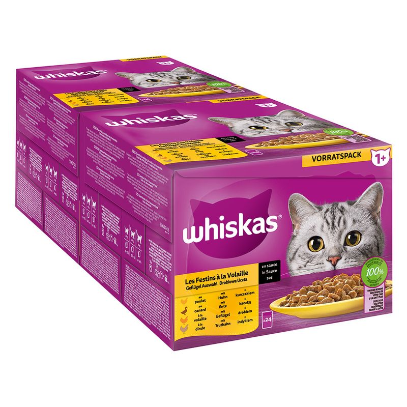 Jumbopack Whiskas 1+ Adult Frischebeutel 144 x 85 g