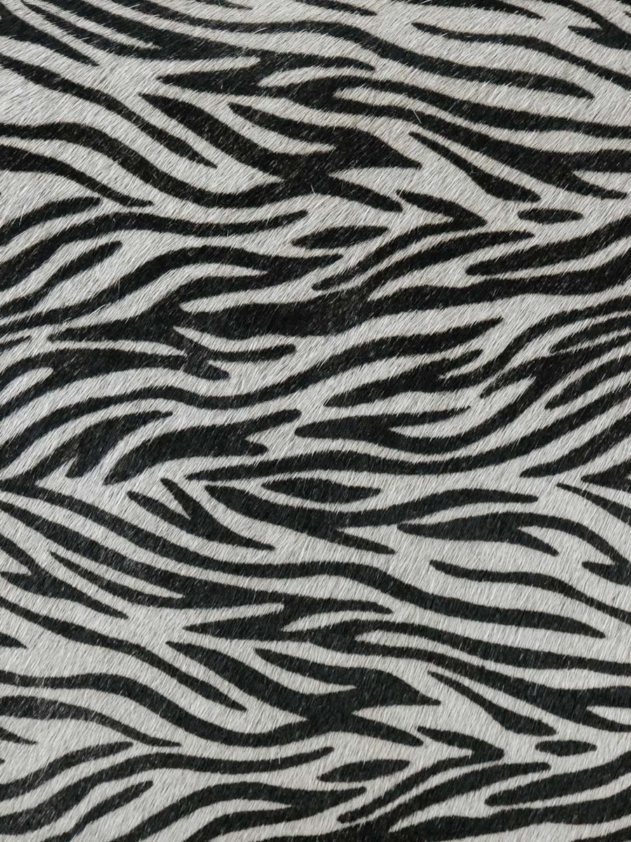 LeBaguette - Safari