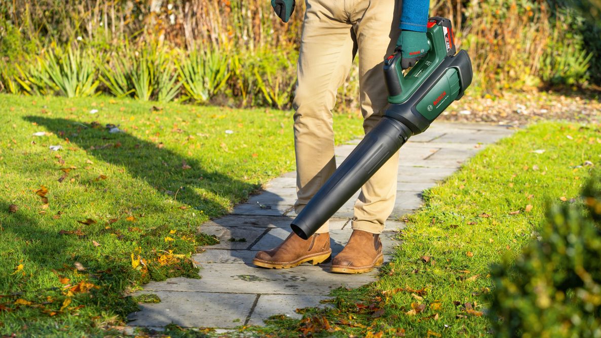 Bosch Green 06008C6000 AdvancedLeafBlower 36V-750 Ασύρματος φυσητήρας φύλλων 1x 2.0 Ah και φορτιστής σε κουτί