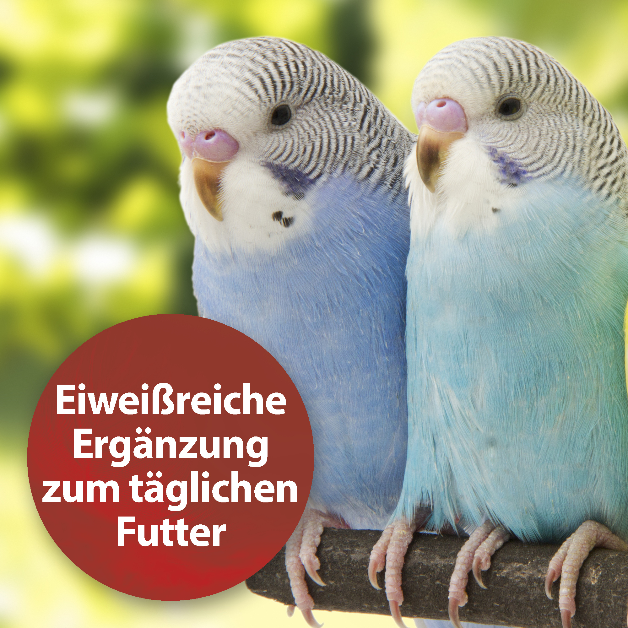Quiko Ergänzungsfutter Quiko Bierhefe 400g: Eiweißreiche Ergänzung zum täglichen Futter für Ziervögel