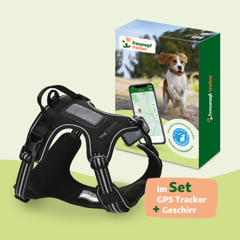 Fressnapf Hundegeschirre Fressnapf Tracker Pathfinder Geschirr Set XL