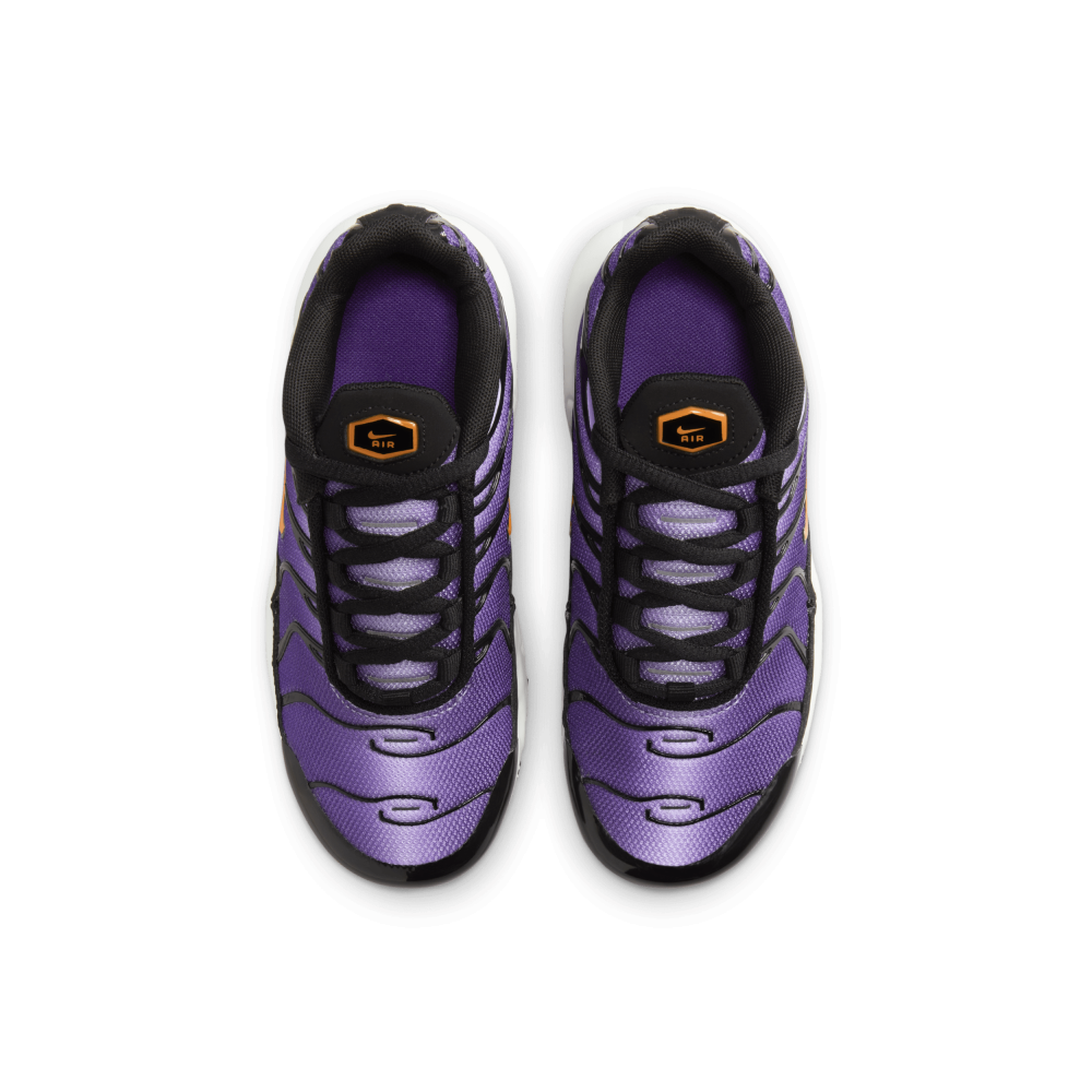 Nike Air Max Plus CD0610-024 / schwarz