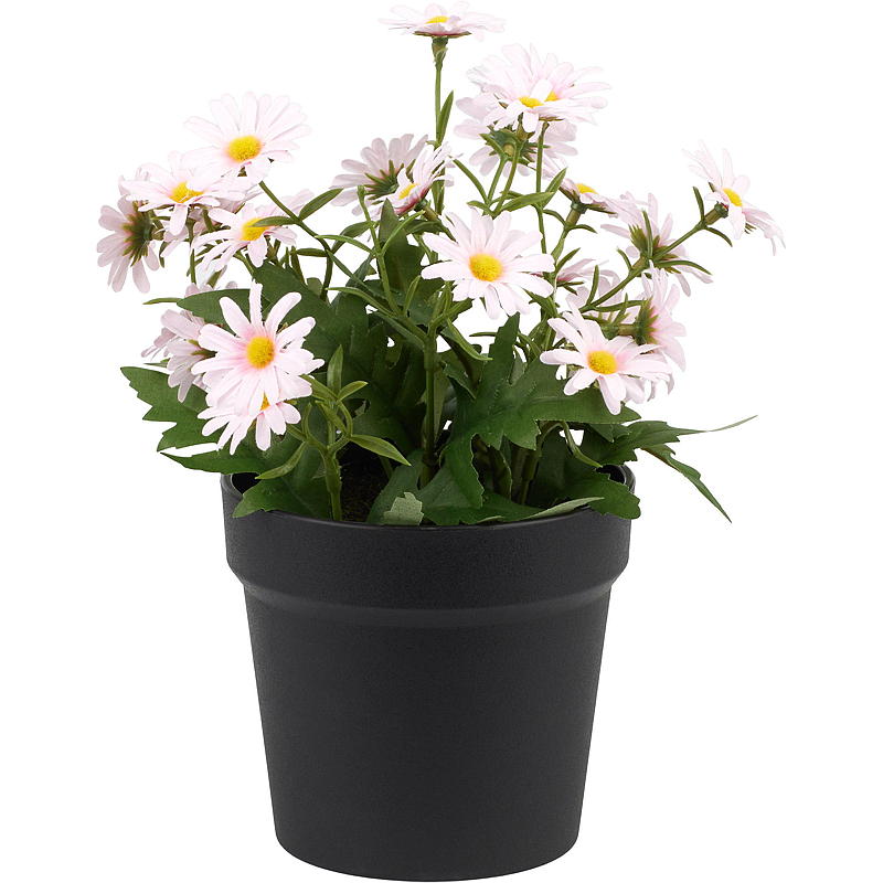Home Margeritt 27 cm