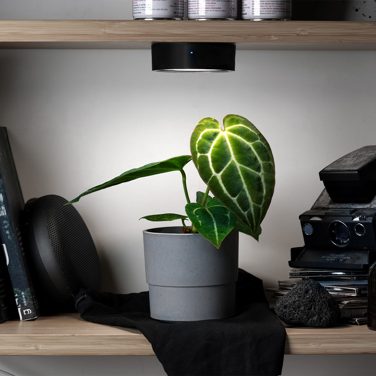 ONF Mist-O LED günstig kaufen