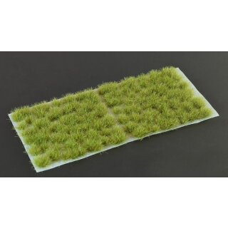 Dry Green 6mm Wild