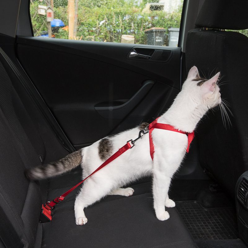 Trixie Auto-Geschirr für Katzen zu TOP-Preisen