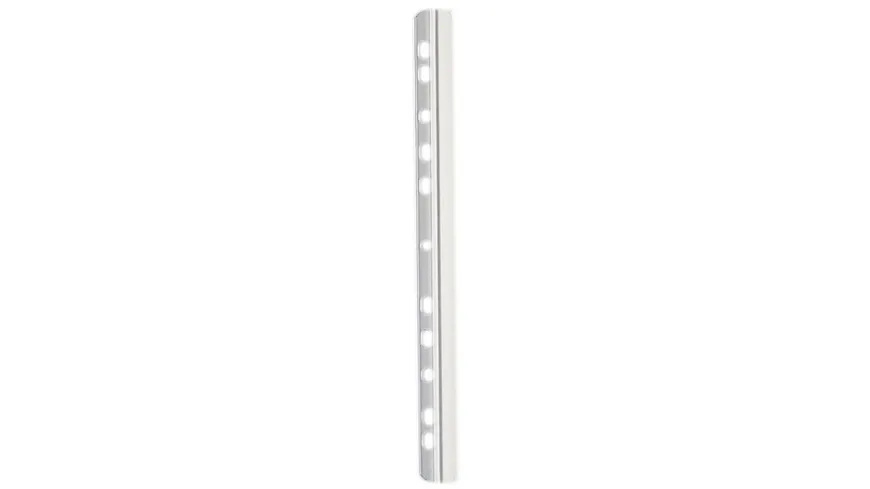 DURABLE Klemmschiene mit Abheftleiste weiss weiss