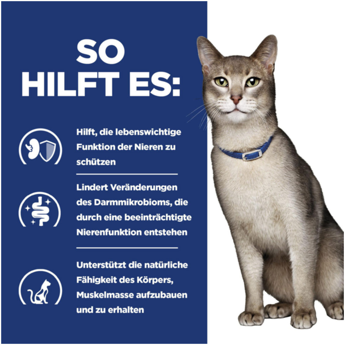 Hill's Prescription Diet k/d mit Thunfisch 3kg