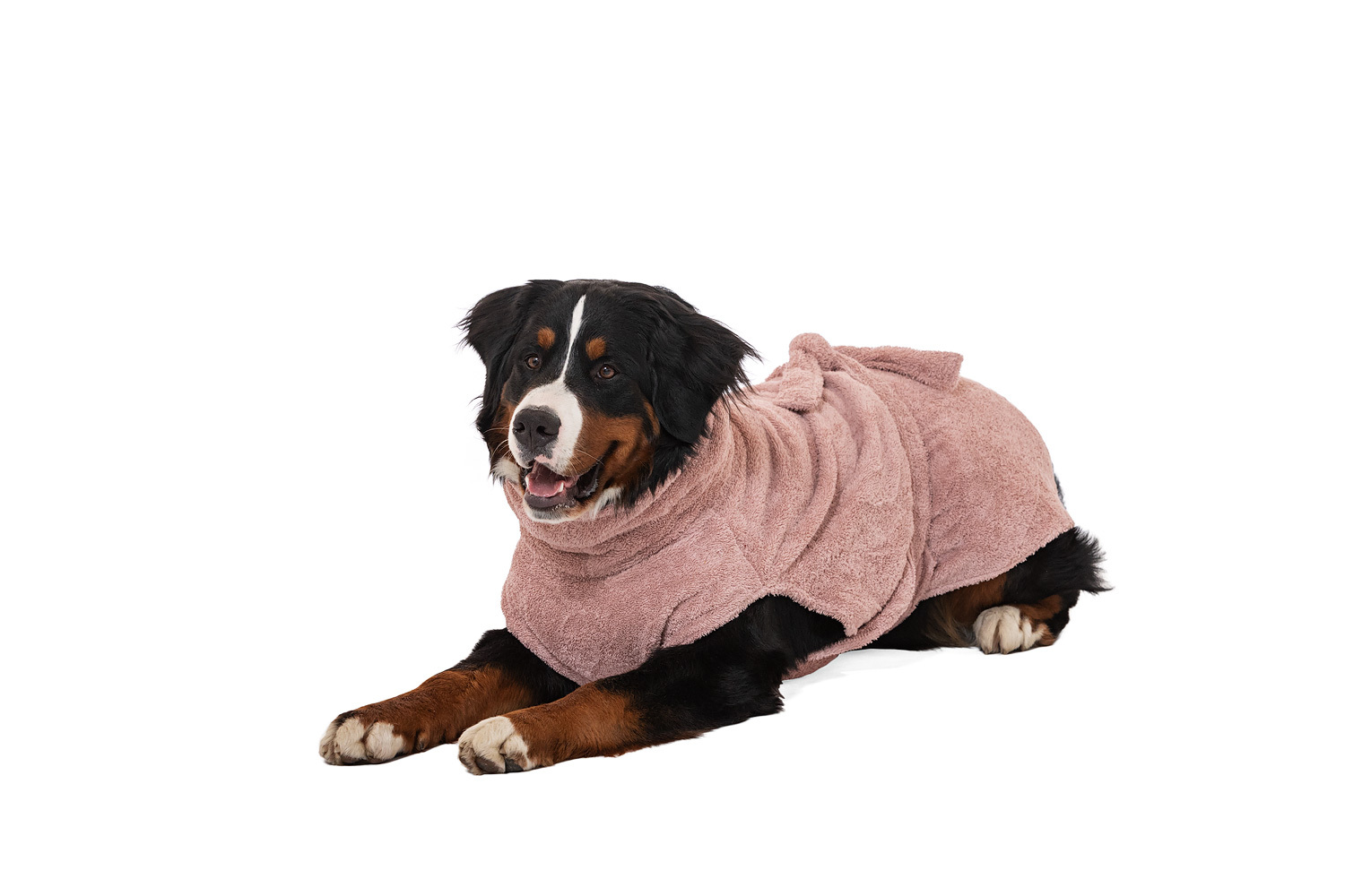 Lills Hundemäntel Lills Lill's Hundebademantel 