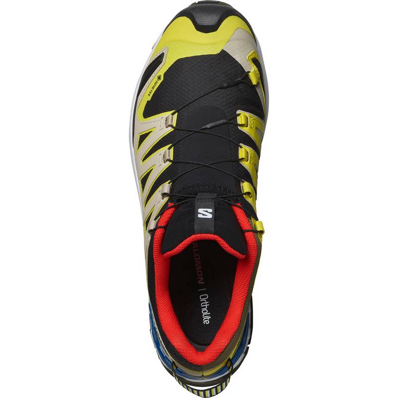 Salomon XA PRO 3D V9 Multifunktionsschuhe Herren