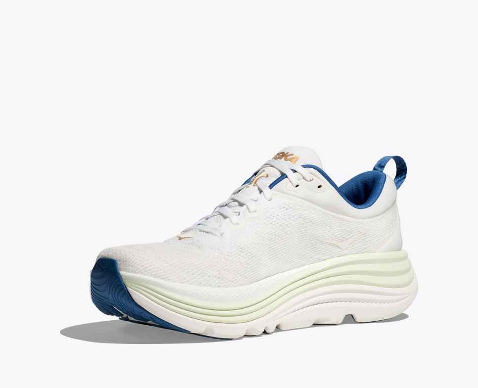 Gaviota 5 Frost / Gold