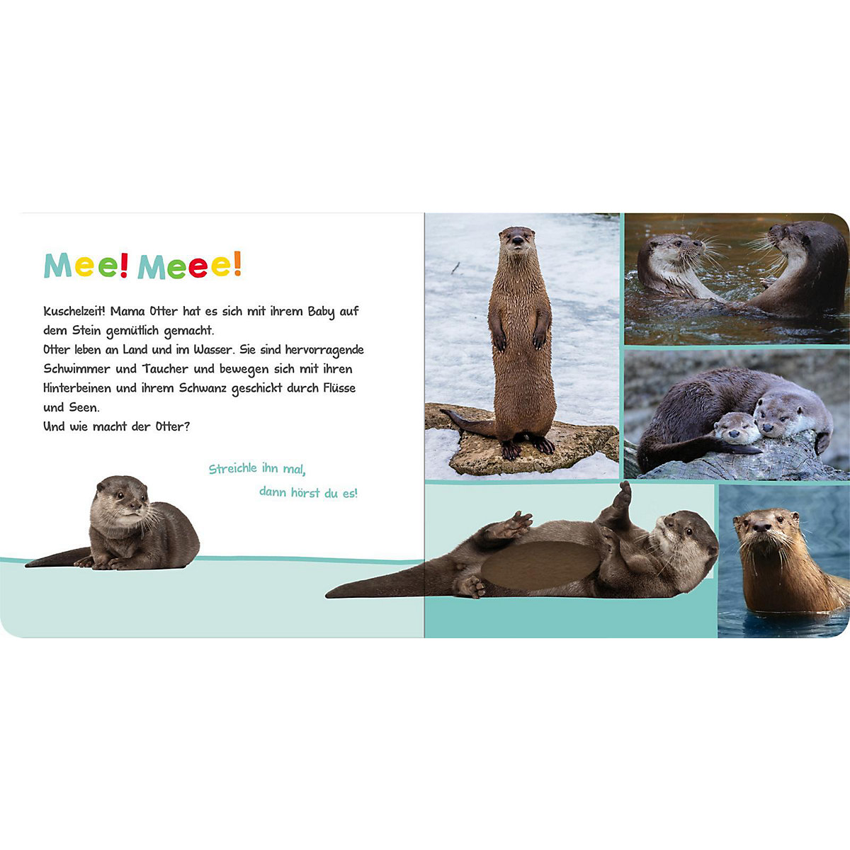 Hör mal rein, wer kann das sein - Am Wasser