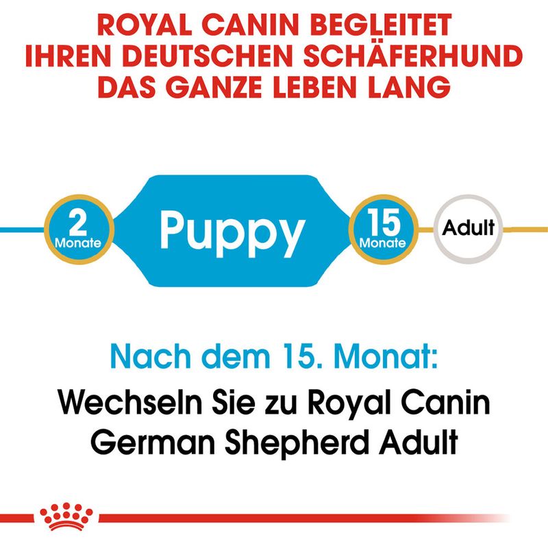 Royal Canin German Shepherd Puppy zu TOP-Preisen