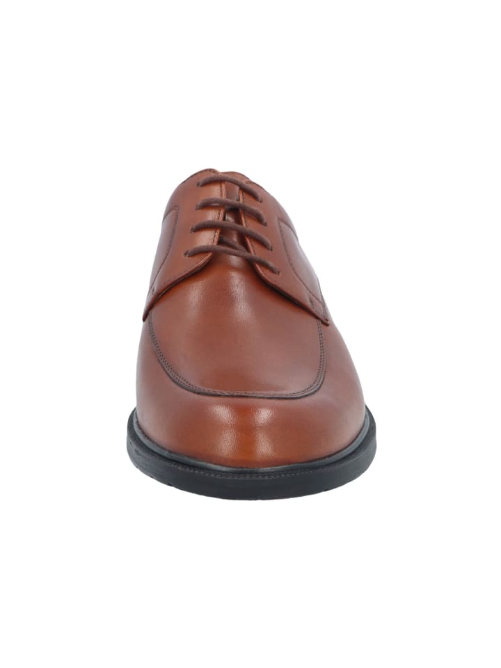 Solidus Schnürschuhe Henk - Weite K in Braun günstig kaufen