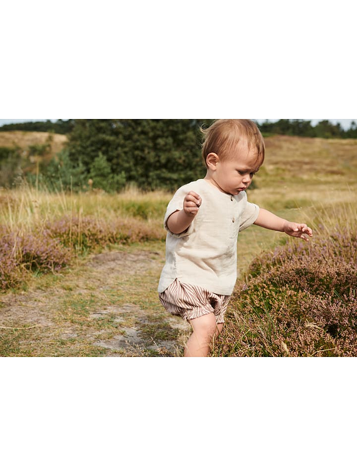 Wheat Shorts 