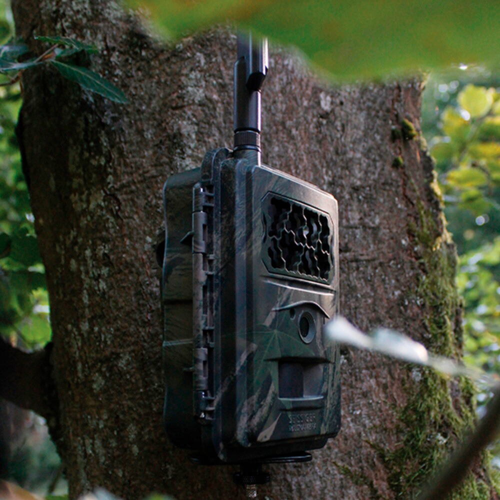 SEISSIGER Wildkamera Special-Cam LTE