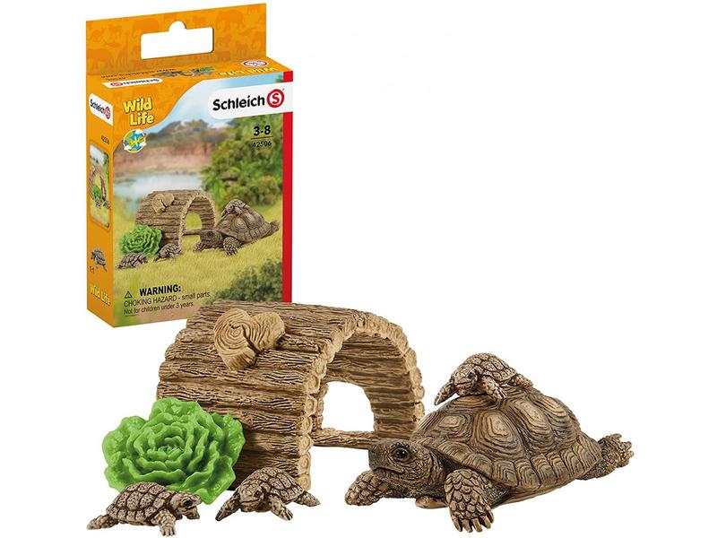 Maison pour tortues