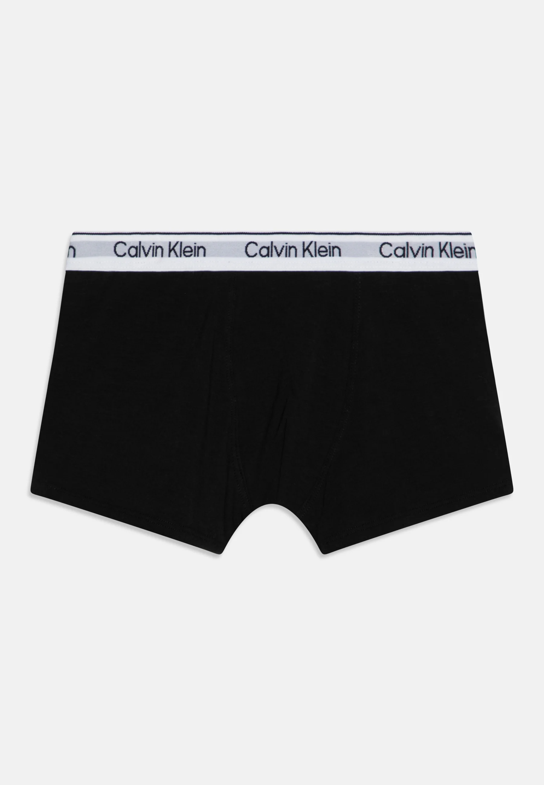Calvin Klein Underwear TRUNK PACK DE 2 - Culotte