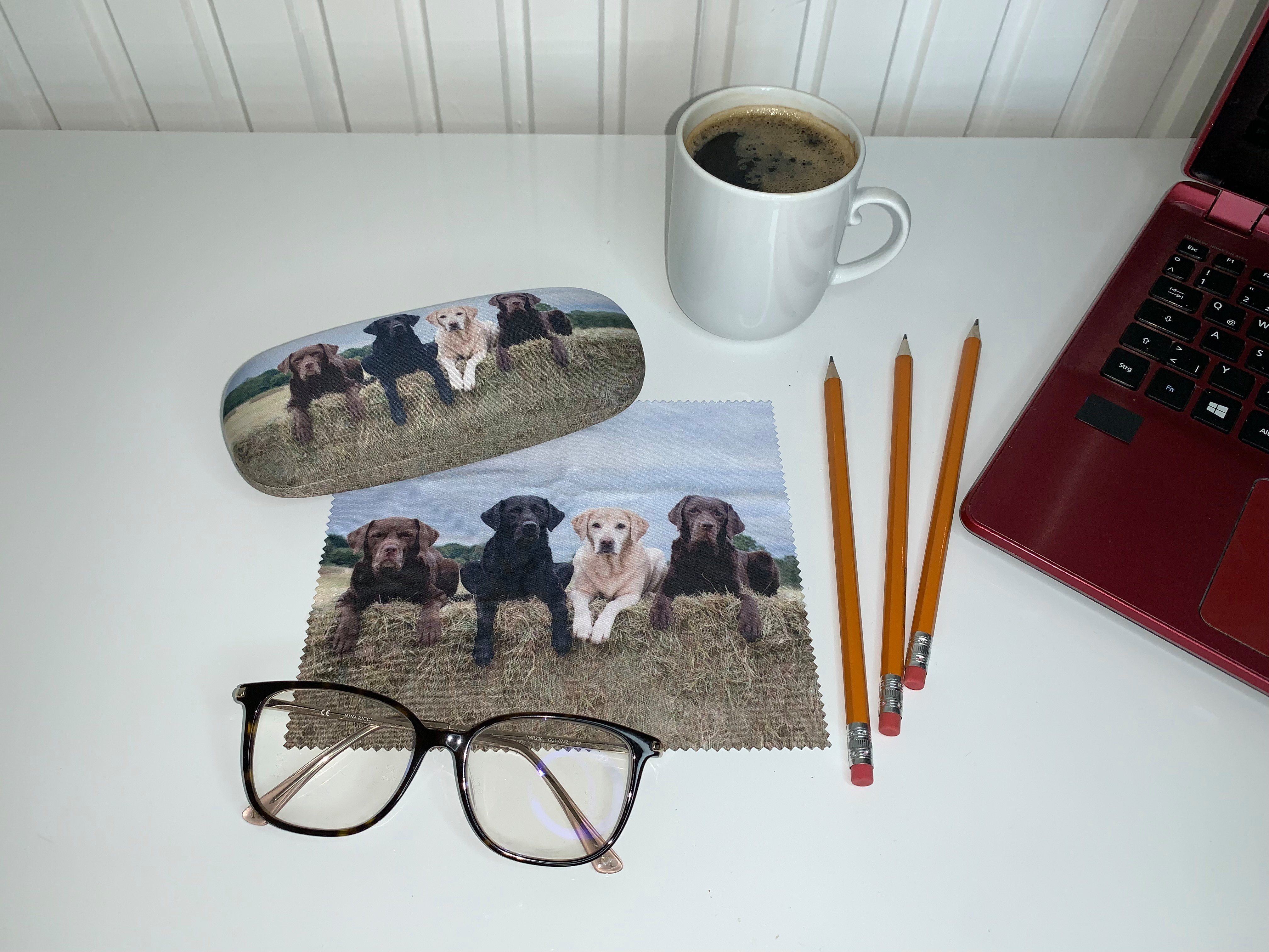 von Lilienfeld Brillenetui Brillenetui Labrador Retriever Hund Brillenbox, stabiles mit Mikrofaser bezogenes Hardcase