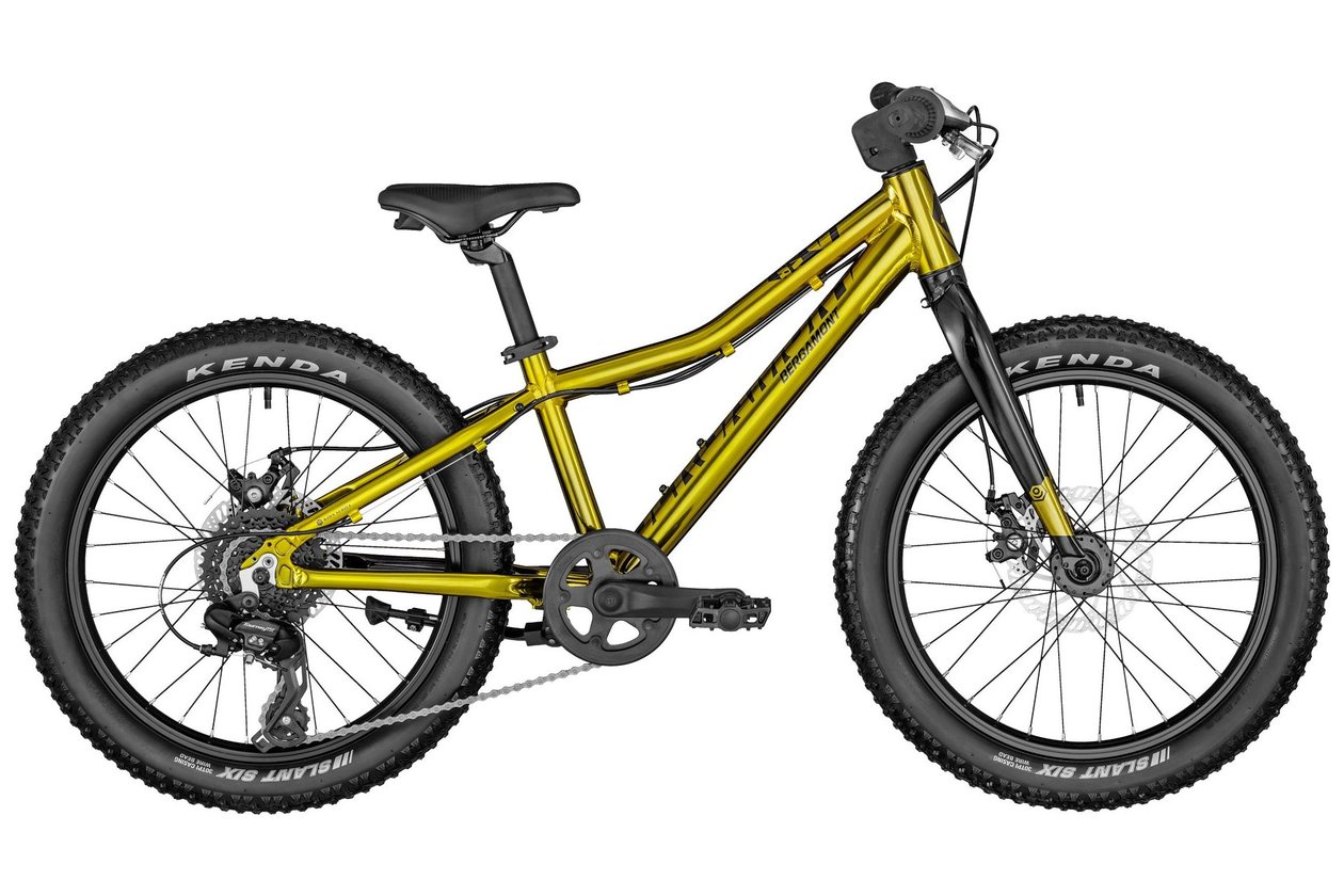 Bergamont Bergamonster 20 Plus Boy - 2022 - 20 Zoll - Diamant