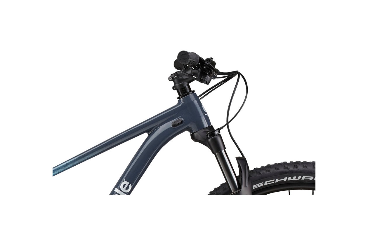 Cannondale Trail SL 3 - 2023 - 29 Zoll - Diamant