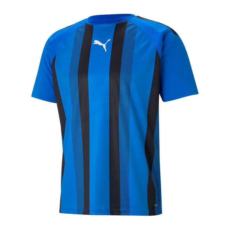 PUMA teamLIGA Striped Trikot Trikot Herren