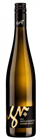 2022 Grüner Veltliner Antlasbergen trocken - Hagn