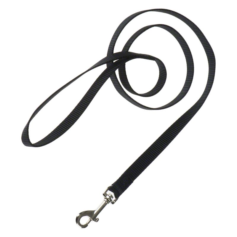 Sparset HUNTER Hundeleine + Halsband Ecco Sport, schwarz | bitiba