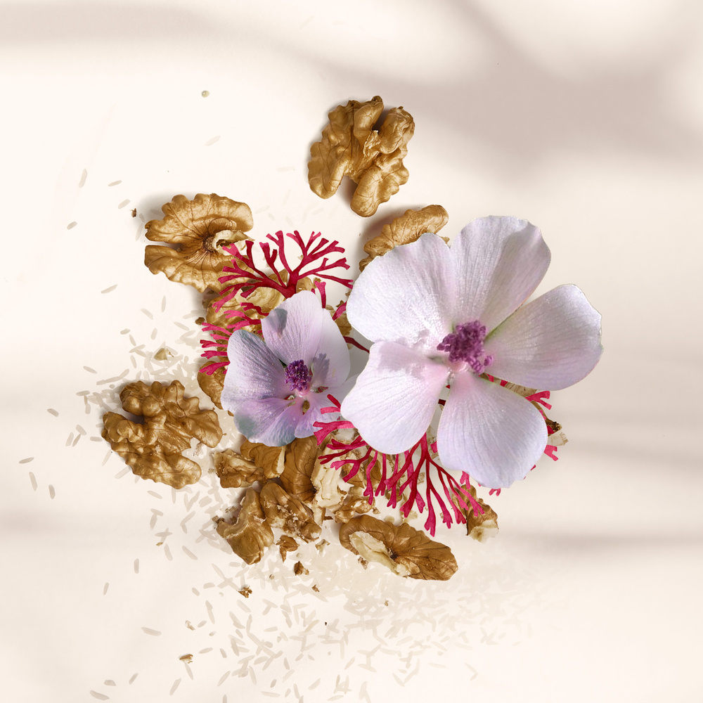 elenature Rituel Shampooing Couleur + Après Shampooing Restructurant Coffret Cheveux