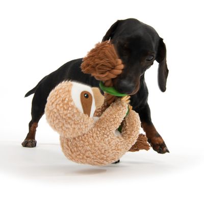 Hundespielzeug Faultier