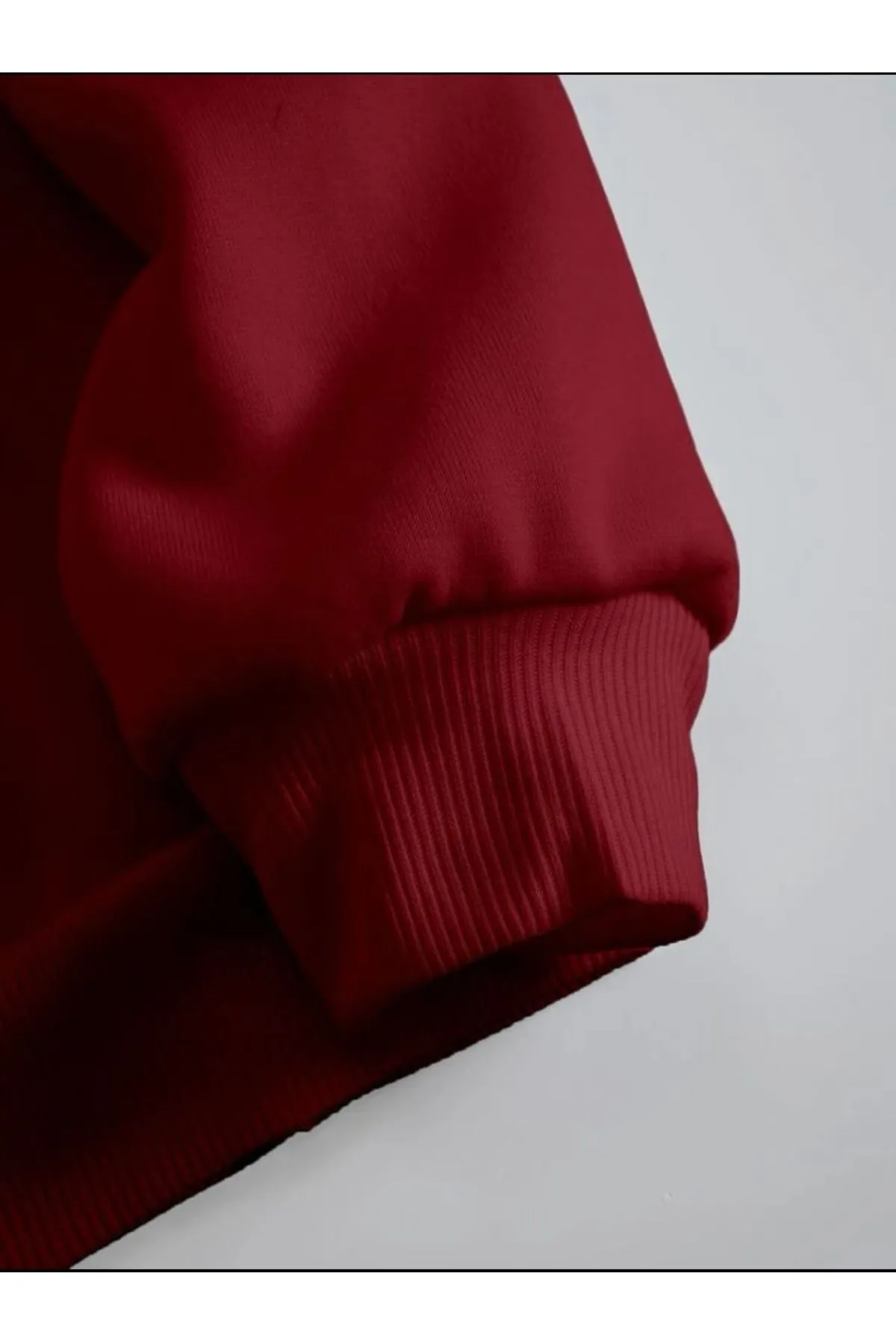 MOONBULL  Sweatshirt - Bordeaux - Regular Fit