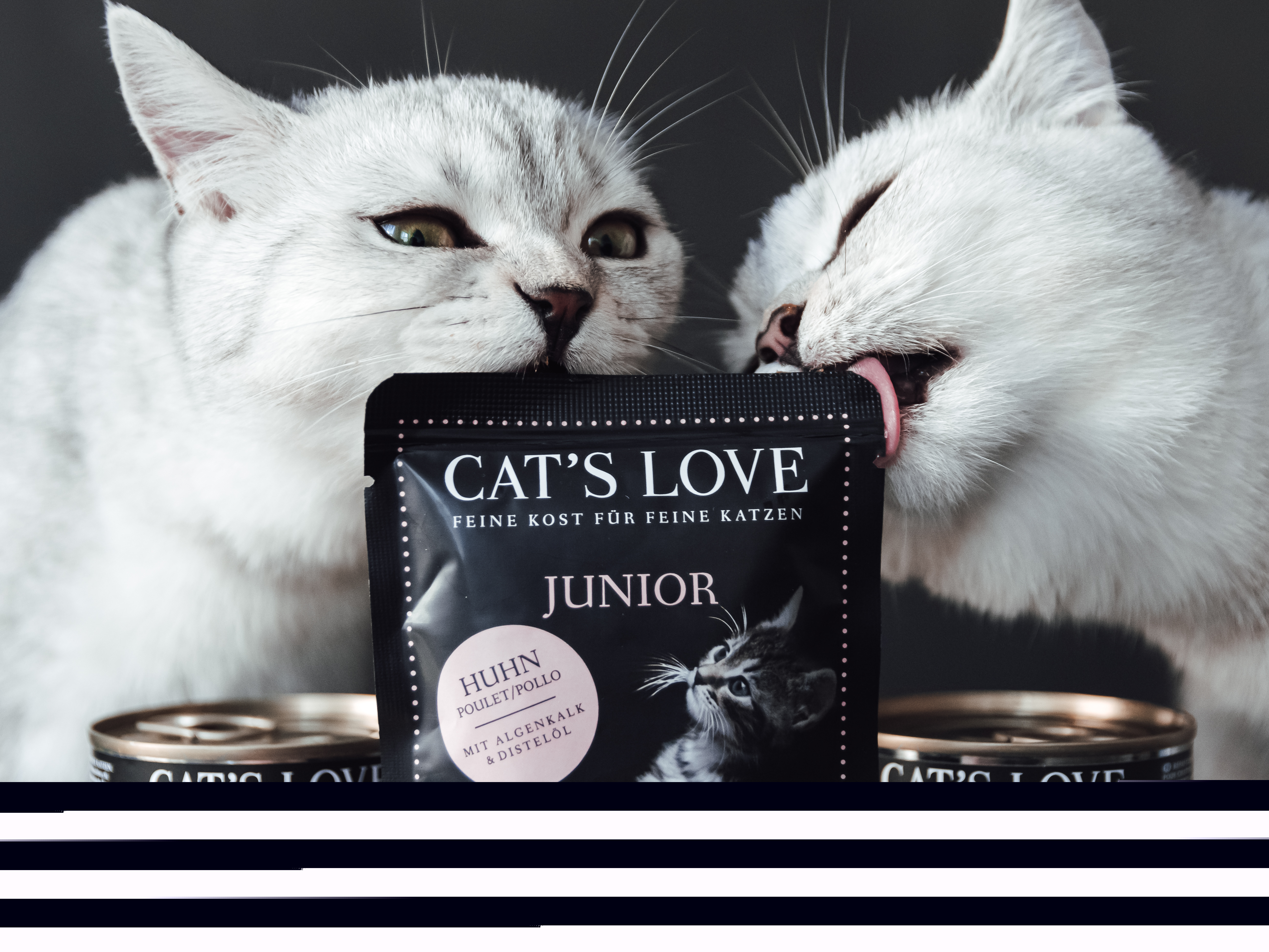 CAT'S LOVE Nassfutter CAT'S LOVE Junior 12x85g Huhn mit Algenkalk & Distelöl
