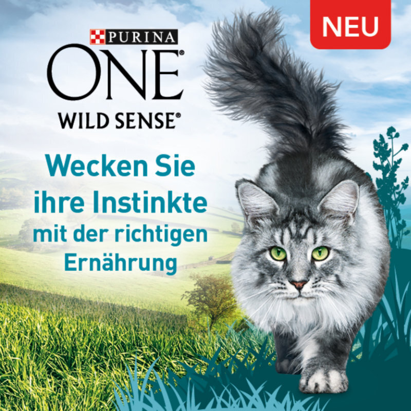 Purina ONE Trockenfutter Purina ONE Wild Sense reich an Huhn 1,4 kg