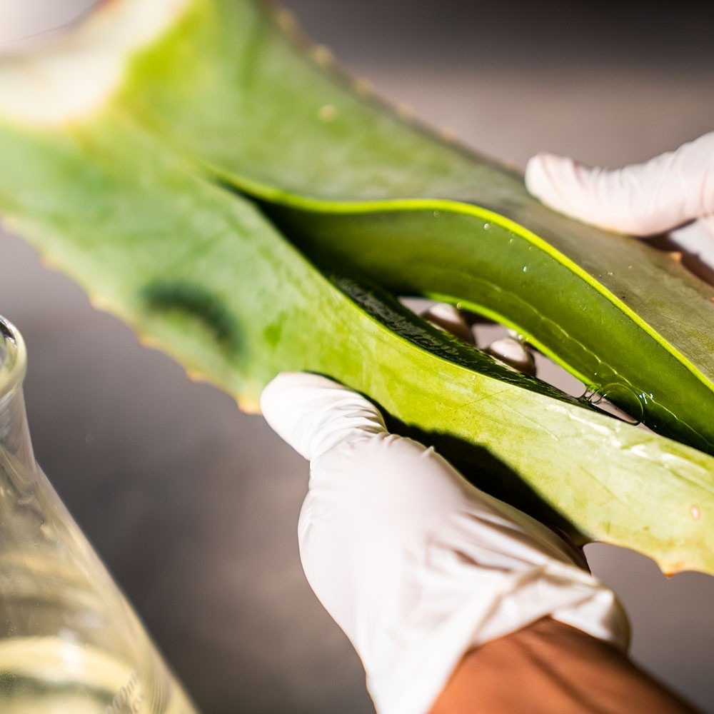 Wegański i organiczny świeży nagietek + kompleks Super Green Detox