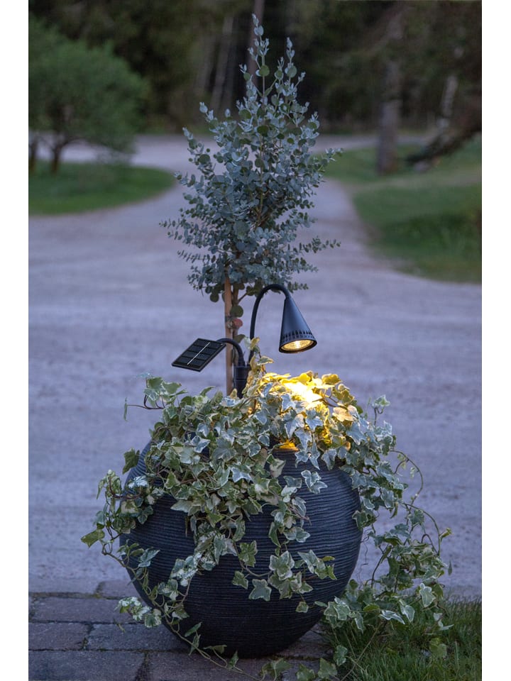 STAR Trading LED-Solar-Gartenstecker 