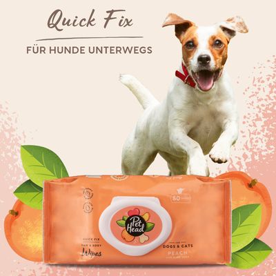 Pet Head Quick Fix Wipes