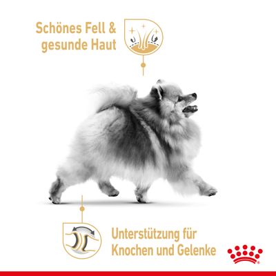 Royal Canin Pomeranian Adult Mousse