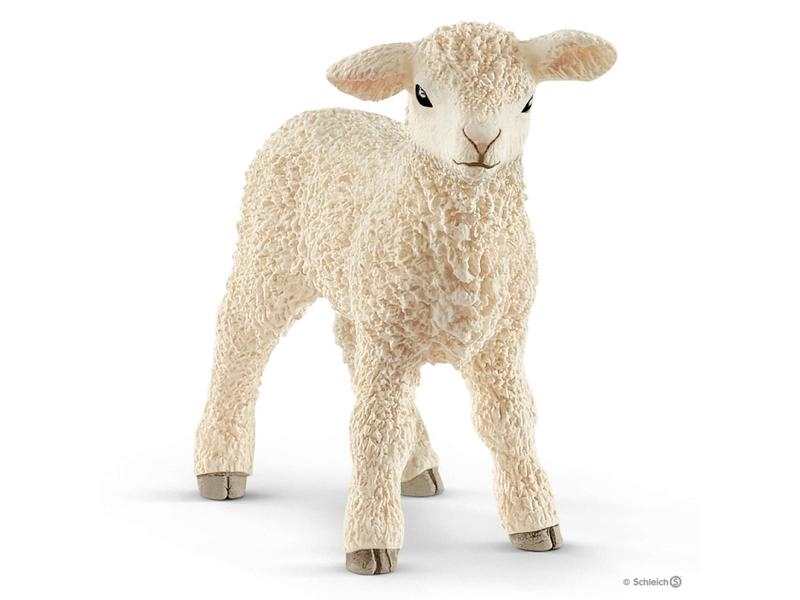 Agneau