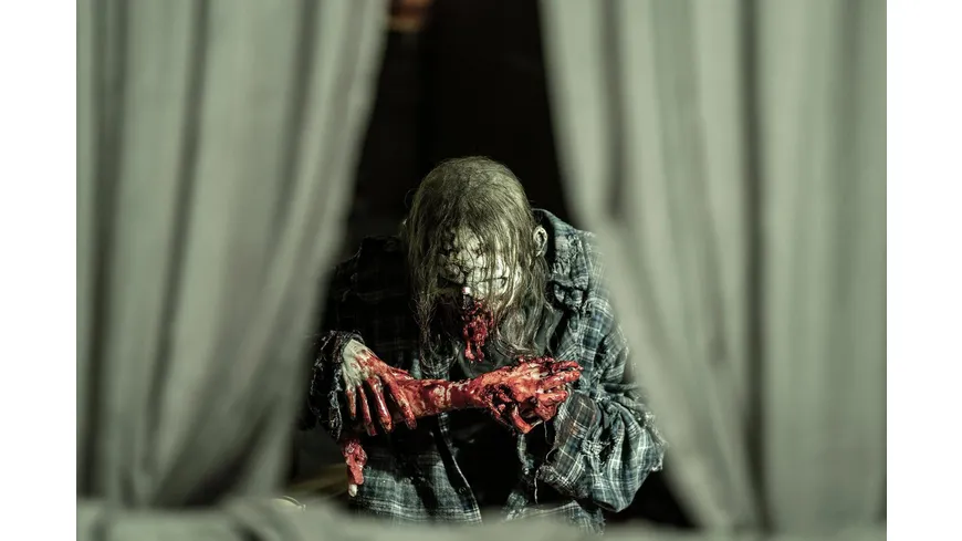 The Walking Dead - Staffel 11  [6 DVDs]