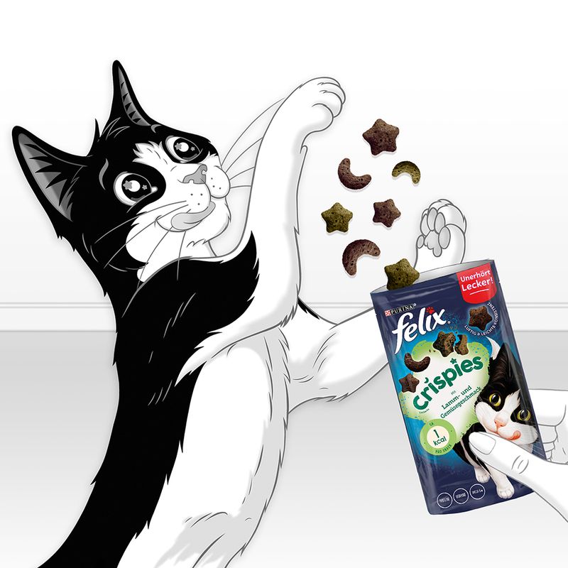 Felix Crispies zu TOP-Preisen