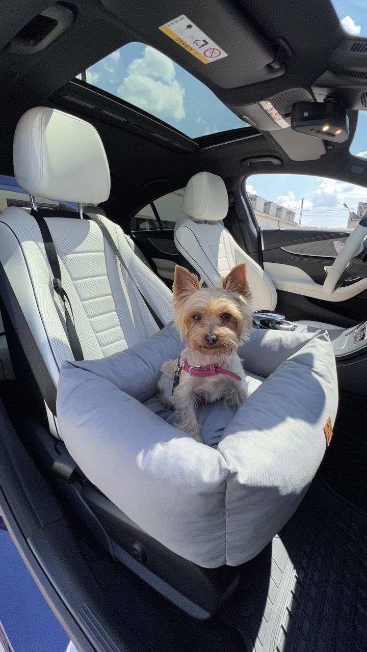 Animood Hundeautositz Julian grau S