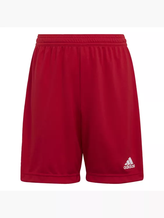adidas Entrada 22 Shorts