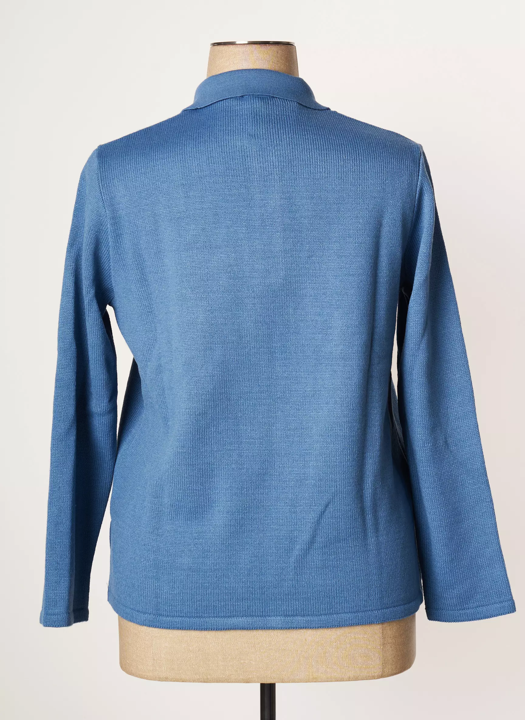 Eleane Pulls Femme couleur bleu