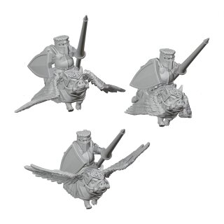 Pigasus Knights