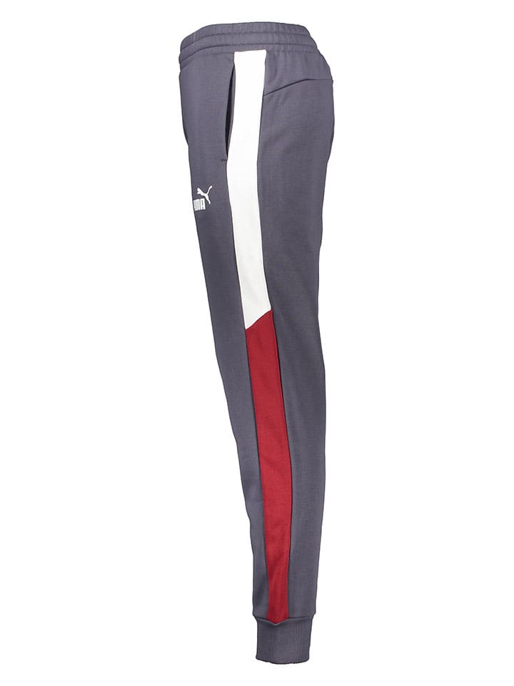 Puma Sweathose 