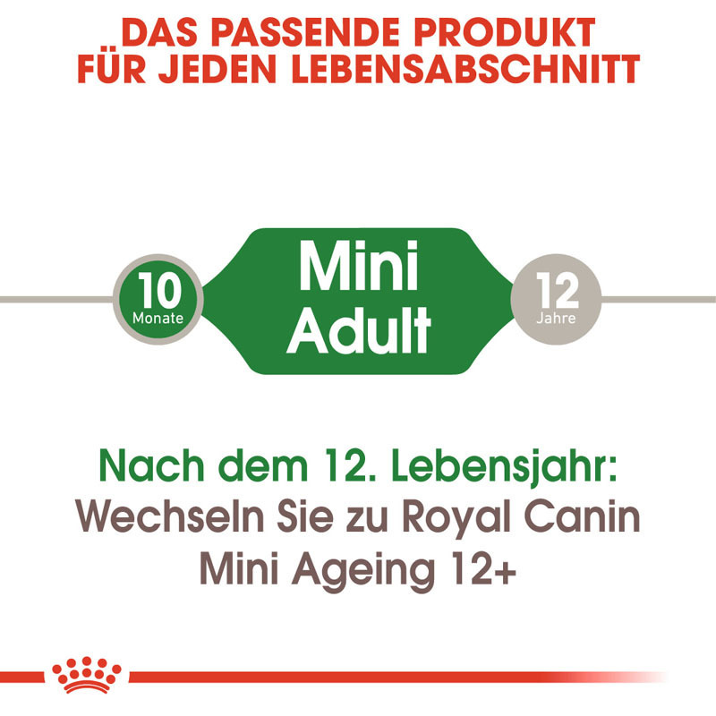 ROYAL CANIN Hundenassfutter ROYAL CANIN Mini Adult 12x85g