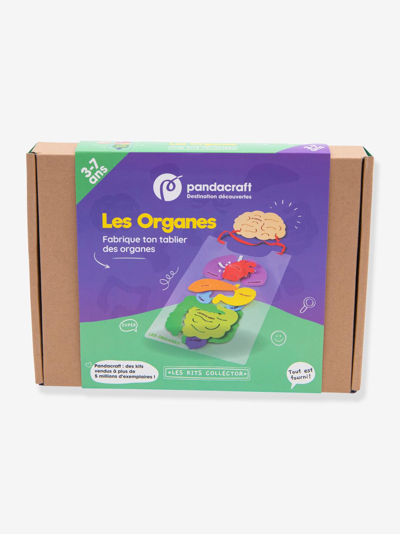 Kit Collector Les organes du corps 3/7 ans PANDACRAFT violet