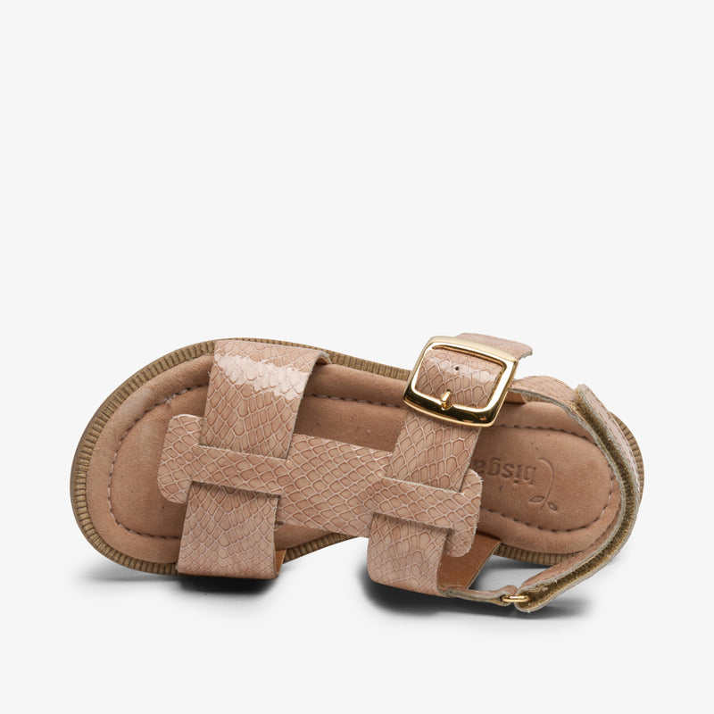 adea camel croco - Braun