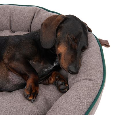 Modern Living Hundebett London Antibakteriell