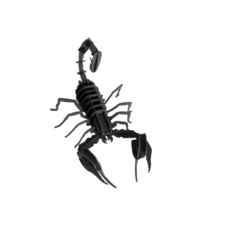 3D-Modell, Skorpion, Spezialkarton, gelasert